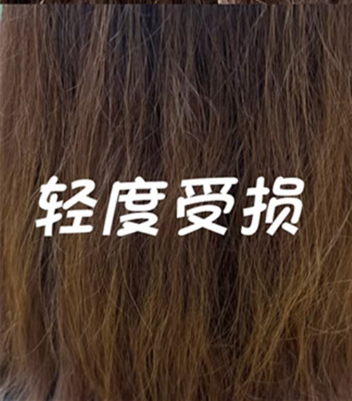 2. 乾燥缺水髮的台中護髮推薦