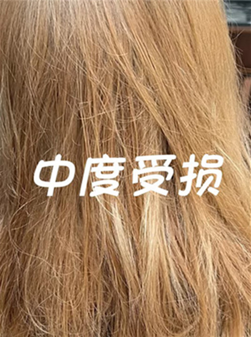 3. 極度受損髮的台中護髮推薦